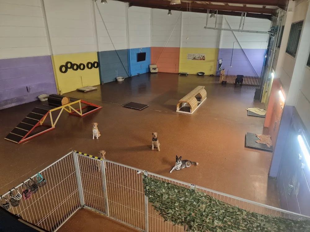 Hundefreakz - Mainz pet otel görseli 3