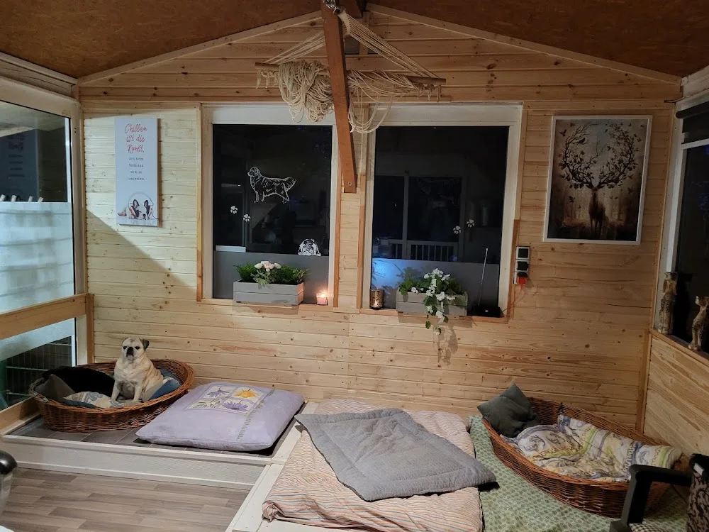 HuTa Klingenmühle - Hundetagesstätte Wiesbaden - Mainz pet otel