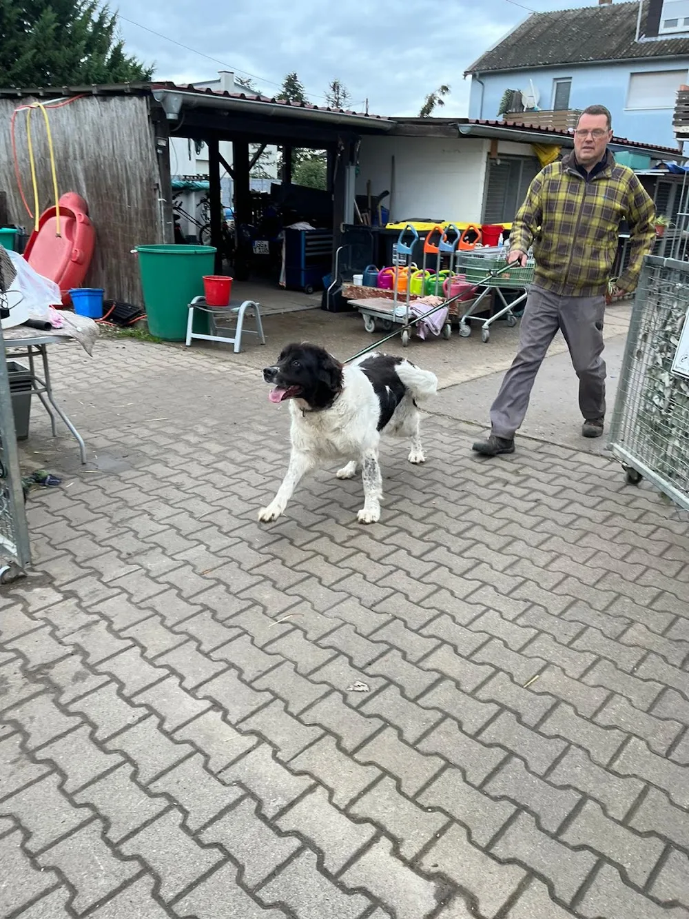 Tierpension Bender - Mainz pet otel