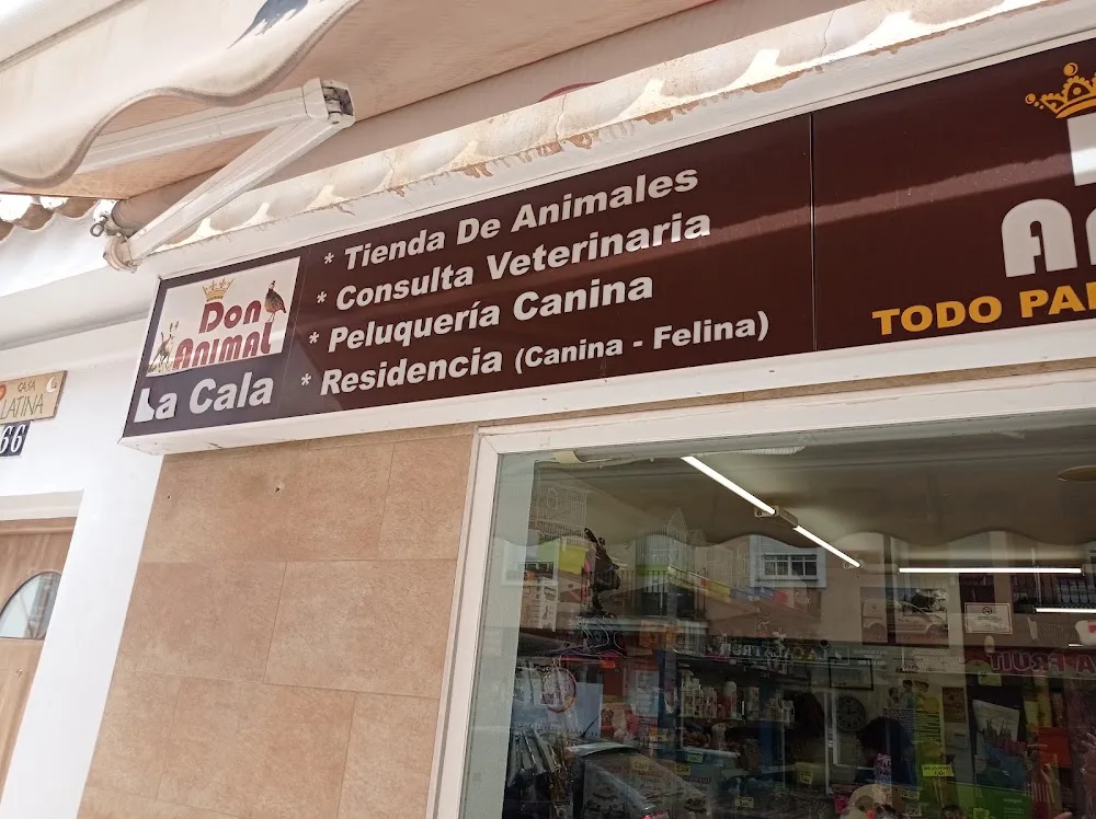 Don Animal - Malaga pet otel görseli 3