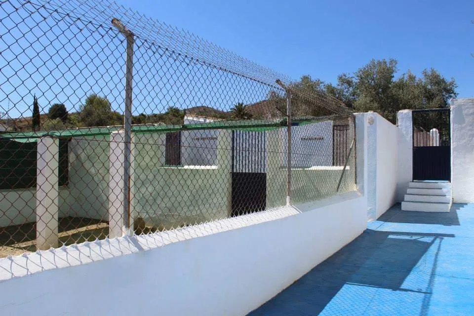 El Perrotel - Malaga pet otel görseli 3