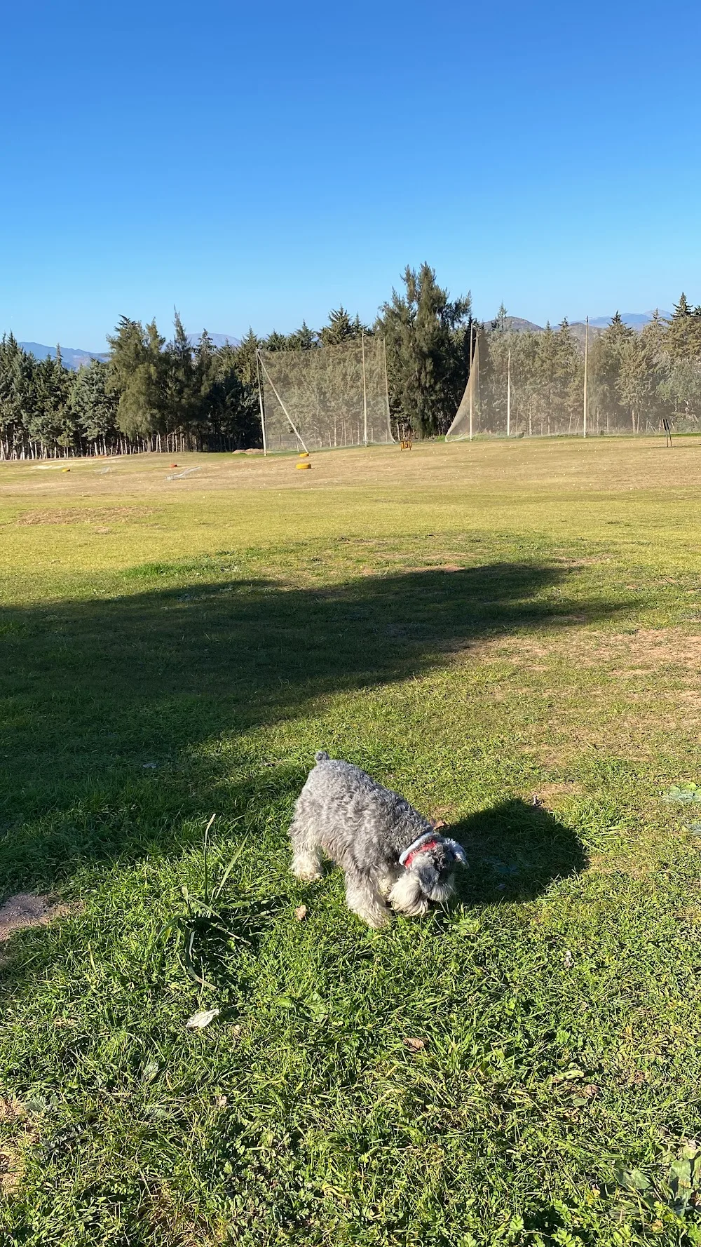 Guardería de Mascotas Angie, Málaga, España - Malaga pet otel görseli 3