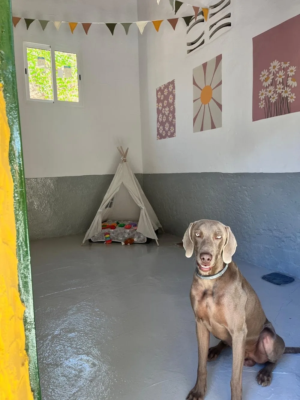 Hotel Canino La Posada - Malaga pet otel görseli 2