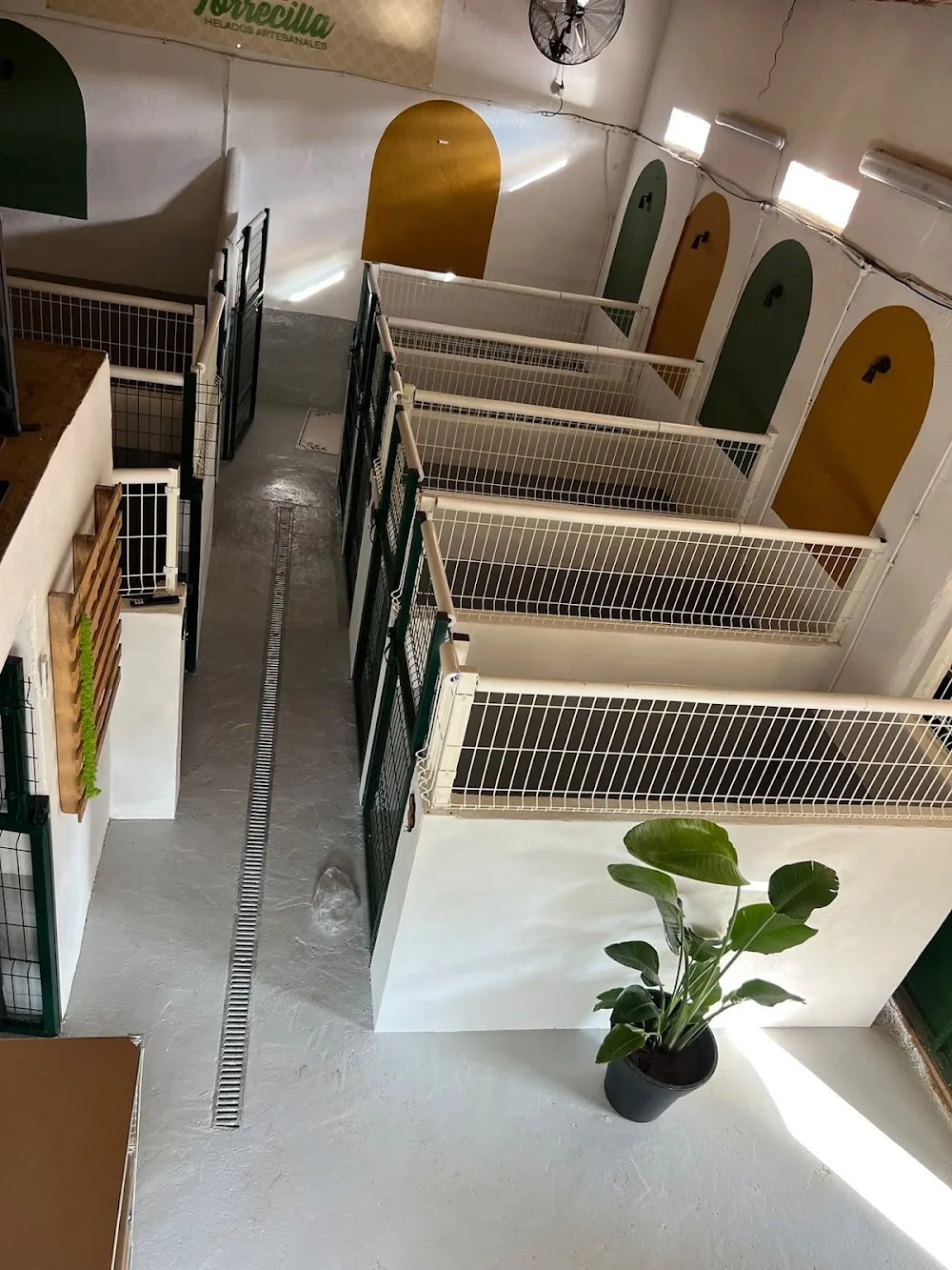 Hotel Canino La Posada - Malaga pet otel görseli 3