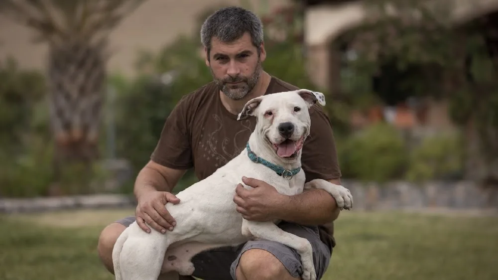 Hotel de Mascotas - La Casa Del Abuelo - Residencia Canina - Malaga pet otel
