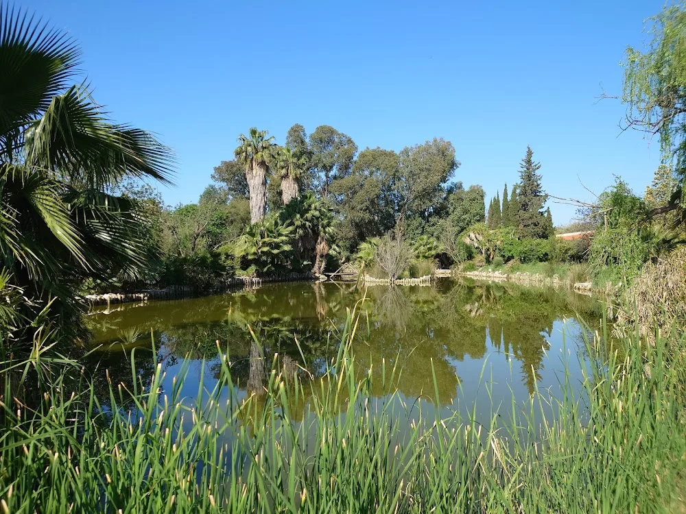 Laguna Kennels and cosy Cattery - Malaga pet otel görseli 3