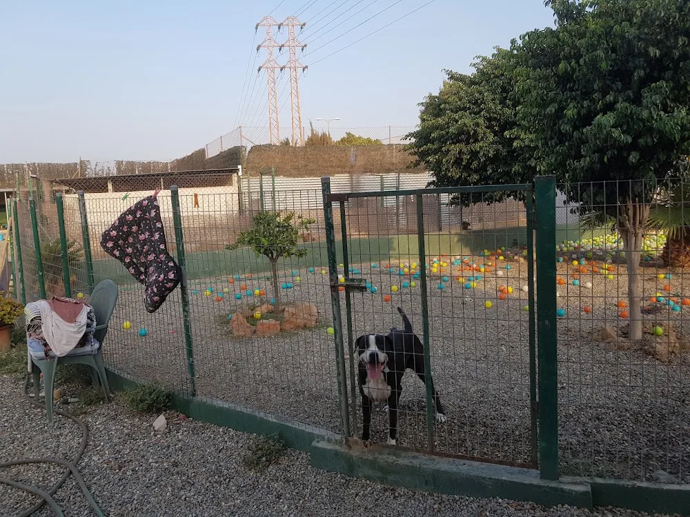 Residencia Canina Unican - Malaga pet otel görseli 3