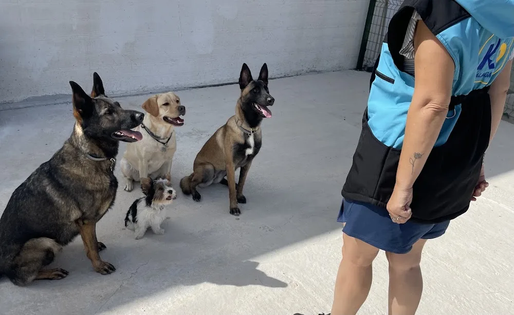 Residencia Canina y Adiestramiento Cruzcan - Malaga pet otel görseli 2