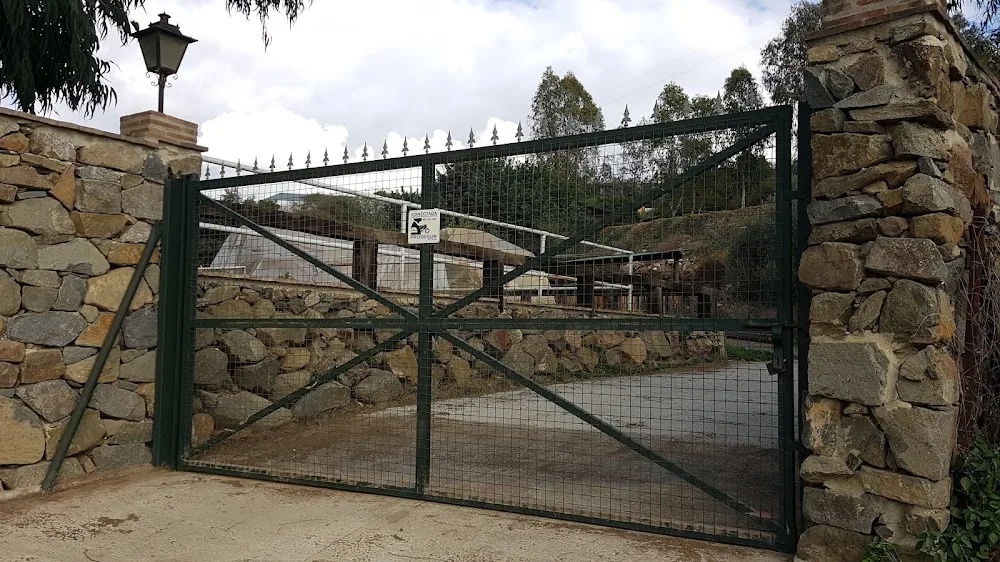 Residencia Canina y Felina Don Animal - Malaga pet otel görseli 3