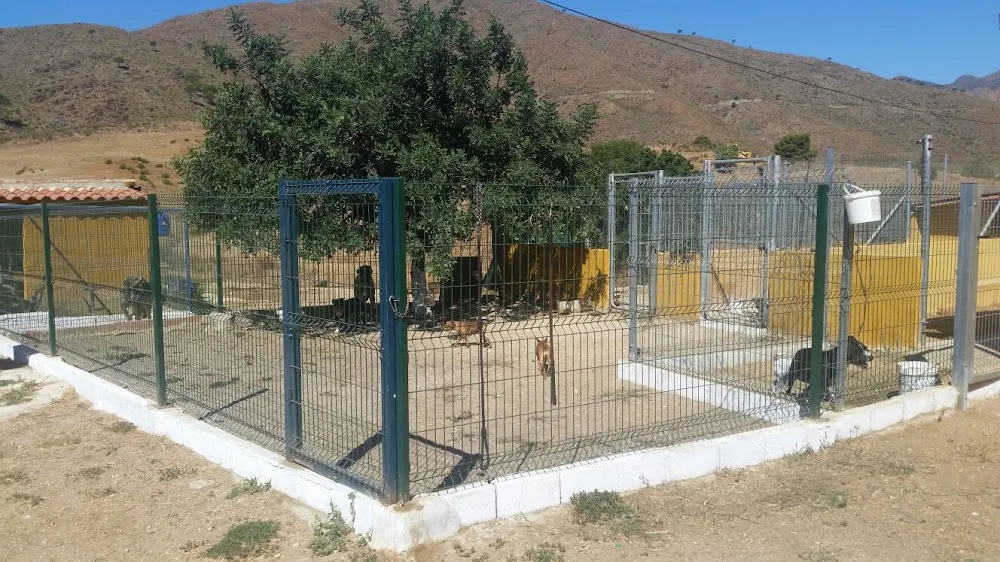 RESIDENCIA CANINA Y FELINA LOS MERCEGALES - Malaga pet otel görseli 3