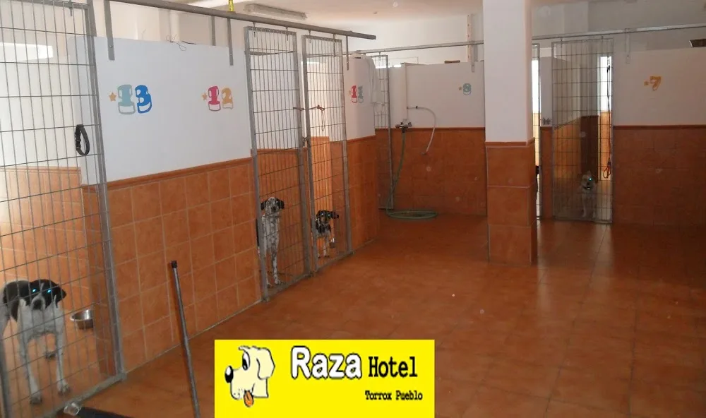Residencia de Mascotas Raza Hotel - Malaga pet otel