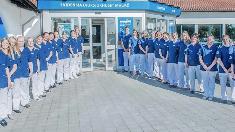 Evidensia Animal Hospital Malmo - Malmo pet otel