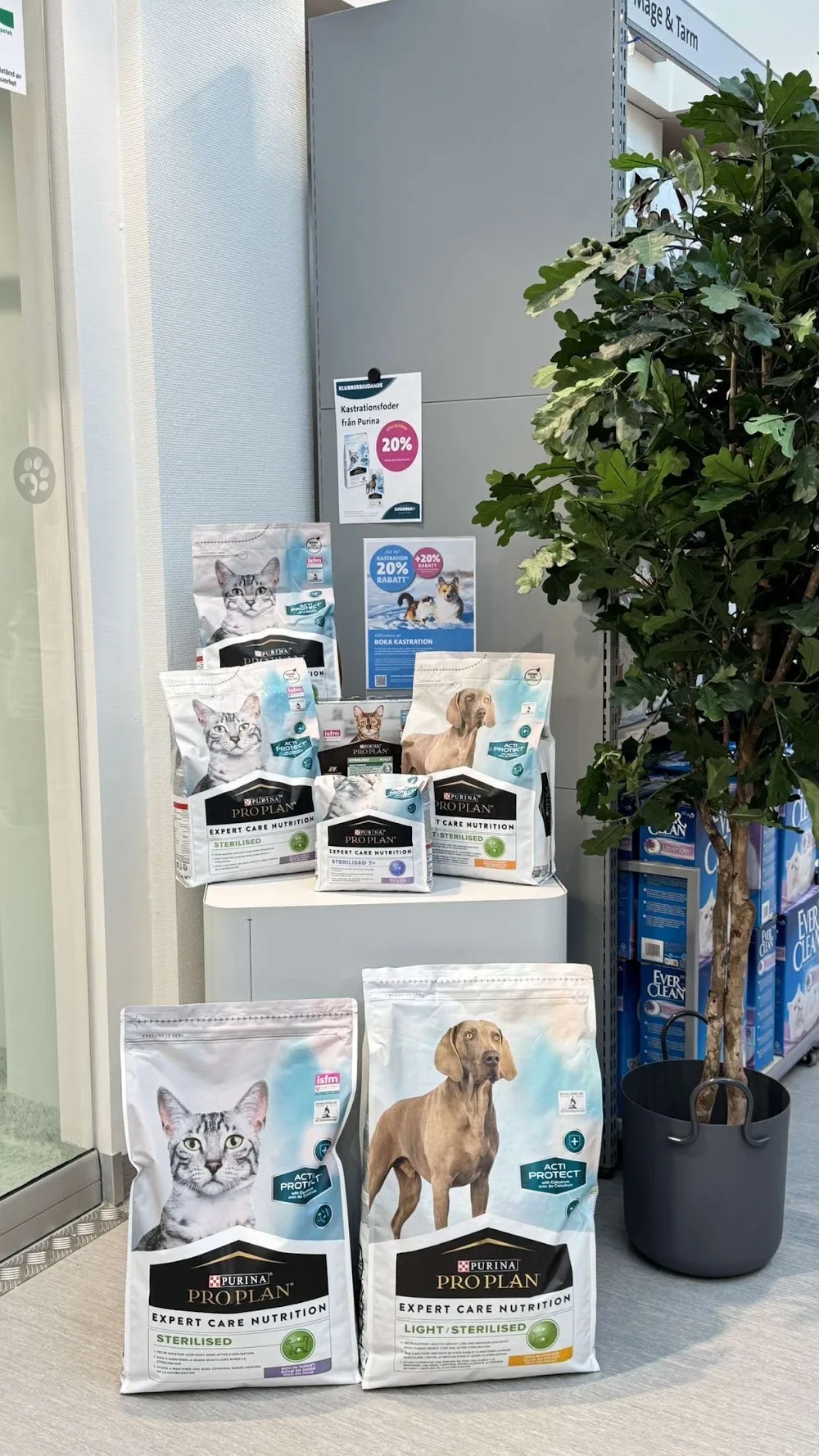 Evidensia Animal Hospital Malmo - Malmo pet otel görseli 3