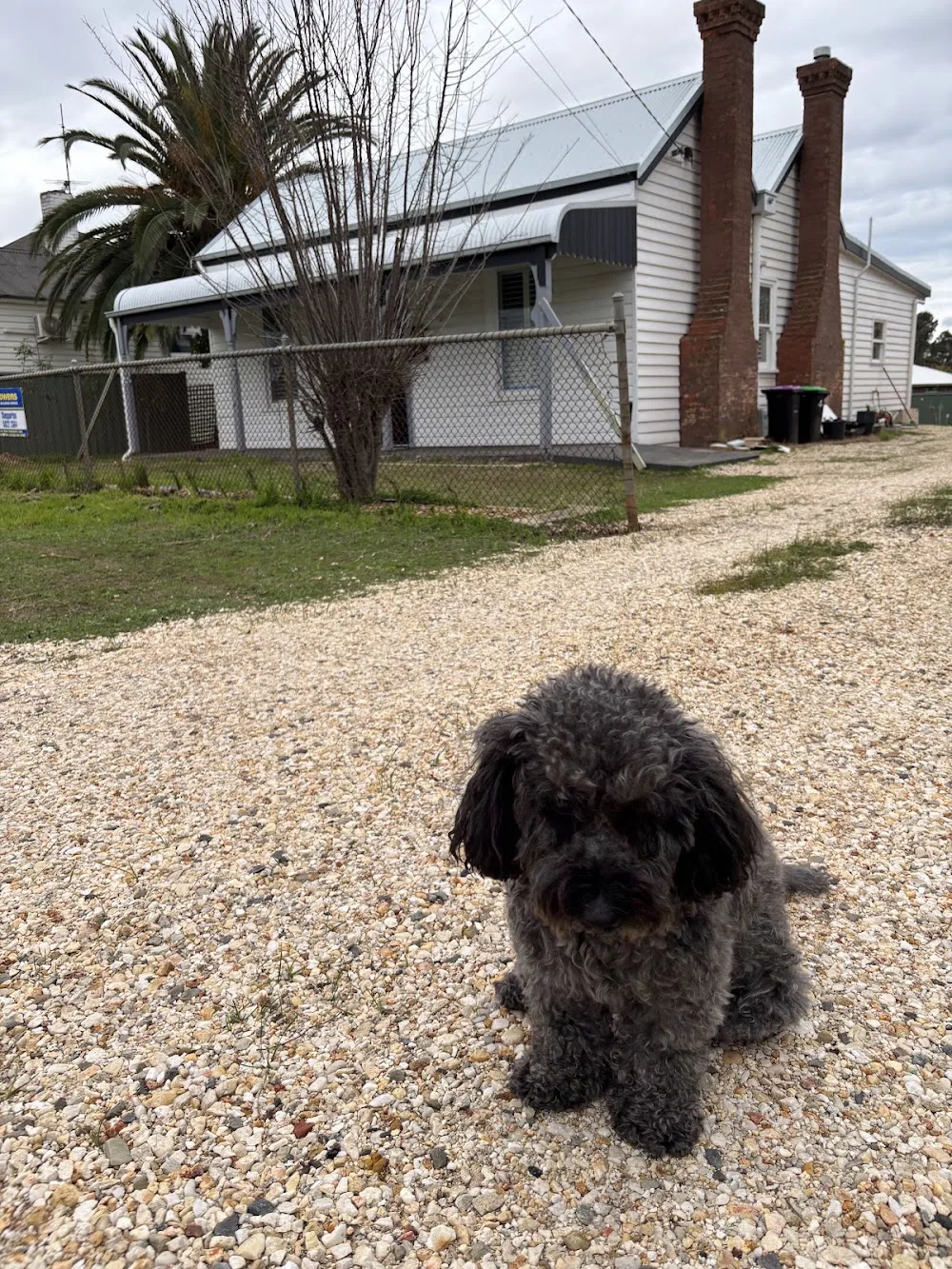 Coach House Boarding Kennels & Cattery Broadford kennels - Malmsbury pet otel görseli 3