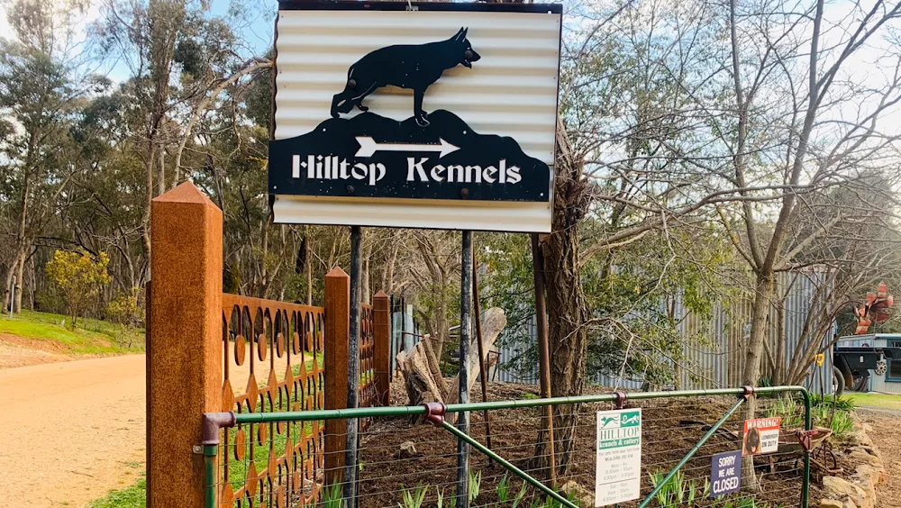 Hilltop Kennels & Cattery Guildford - Malmsbury pet otel görseli 2