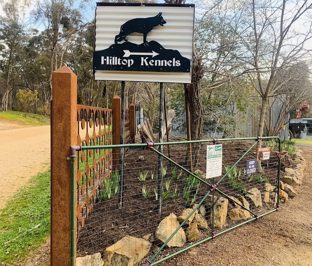 Hilltop Kennels & Cattery Guildford - Malmsbury pet otel görseli 3
