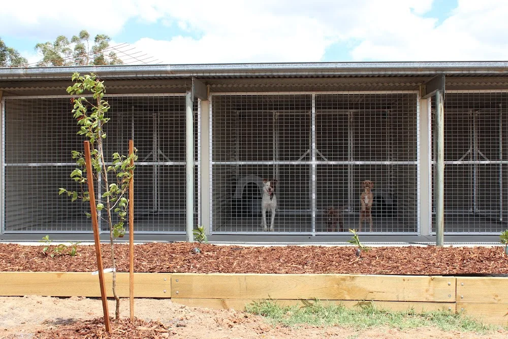 Maldon Pet Resort - Malmsbury pet otel görseli 3