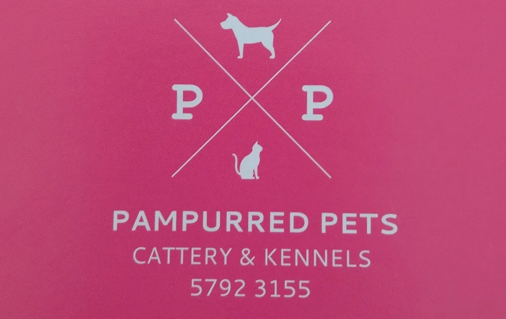 PamPurred Pets Cattery & Kennels - Malmsbury pet otel görseli 3