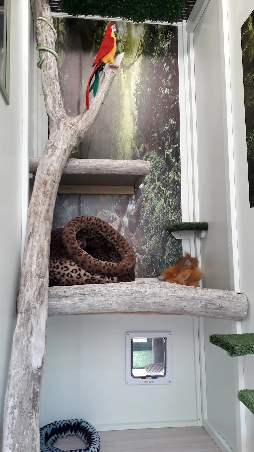 Country Cat Care - Manawatu-Whanganui pet otel görseli 3