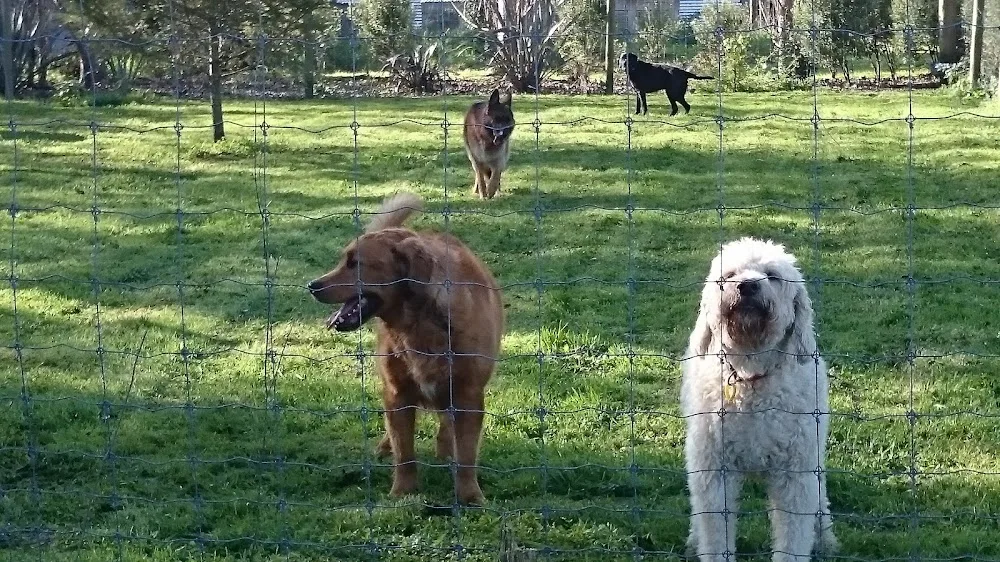 Harkleah Meadows - Manawatu-Whanganui pet otel görseli 3