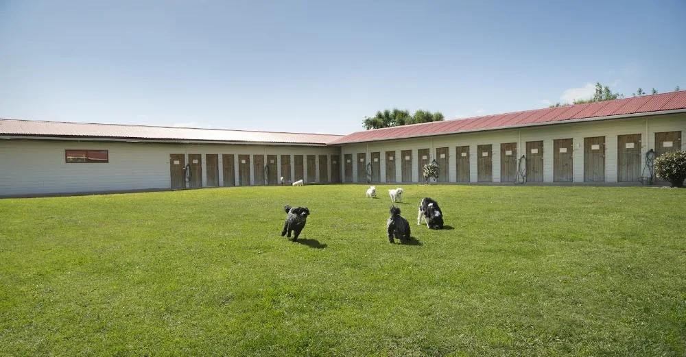 K9 Clipz Boarding Kennels - Manawatu-Whanganui pet otel