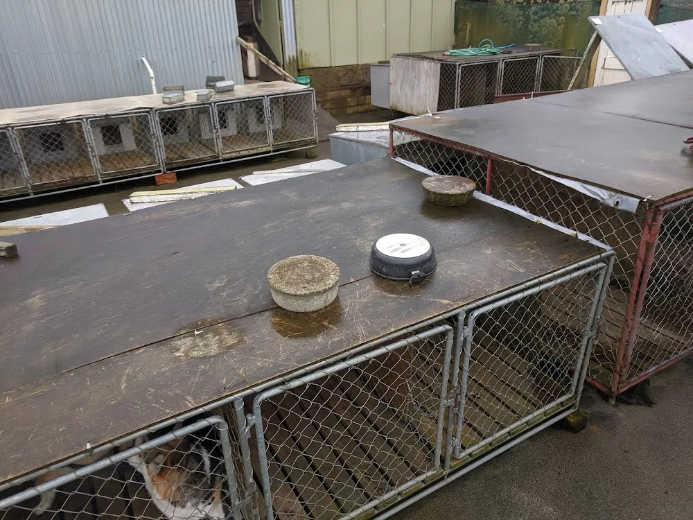 Mitredale Boarding Kennels - Manawatu-Whanganui pet otel