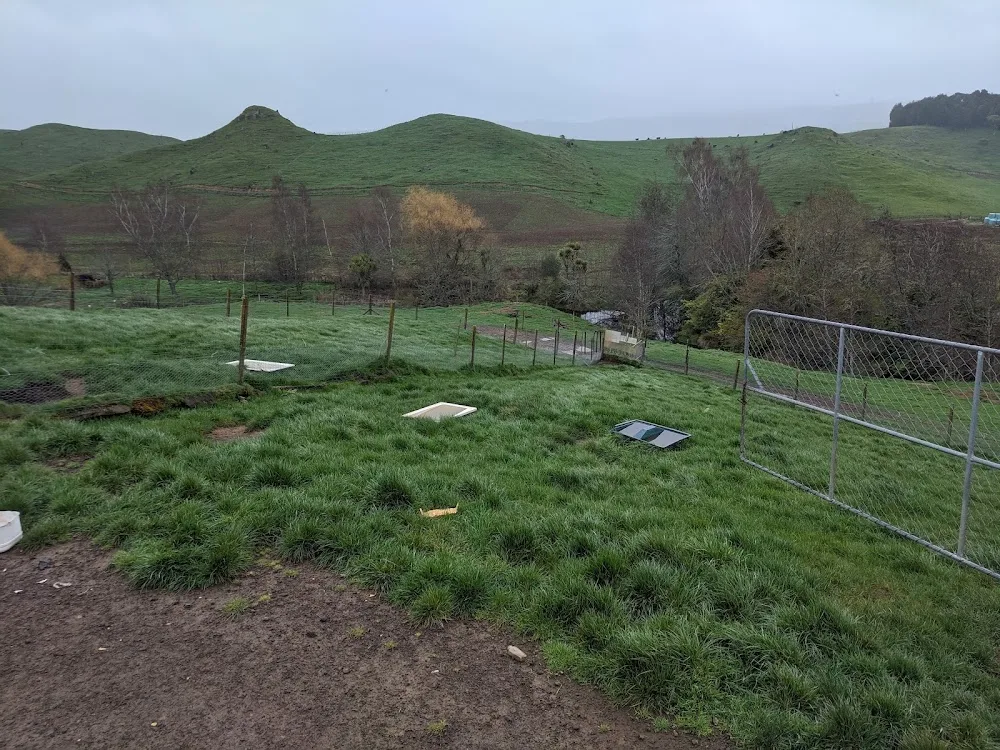 Mitredale Boarding Kennels - Manawatu-Whanganui pet otel görseli 3
