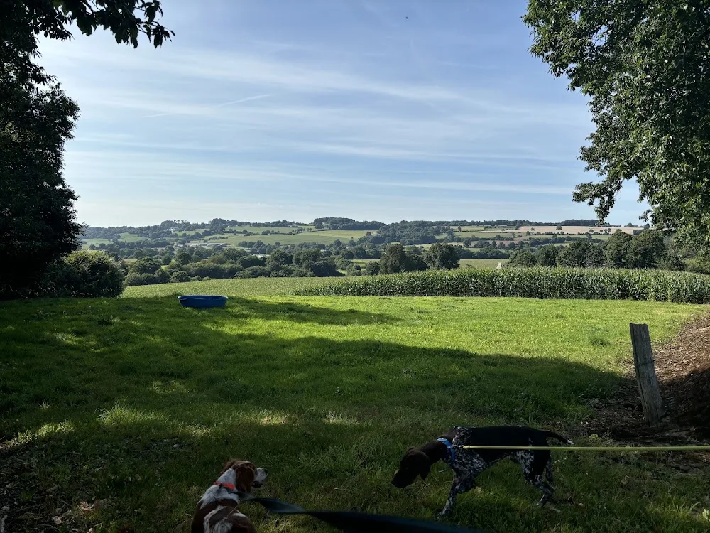 Au Gîte des 4 pattes - Manche pet otel görseli 3