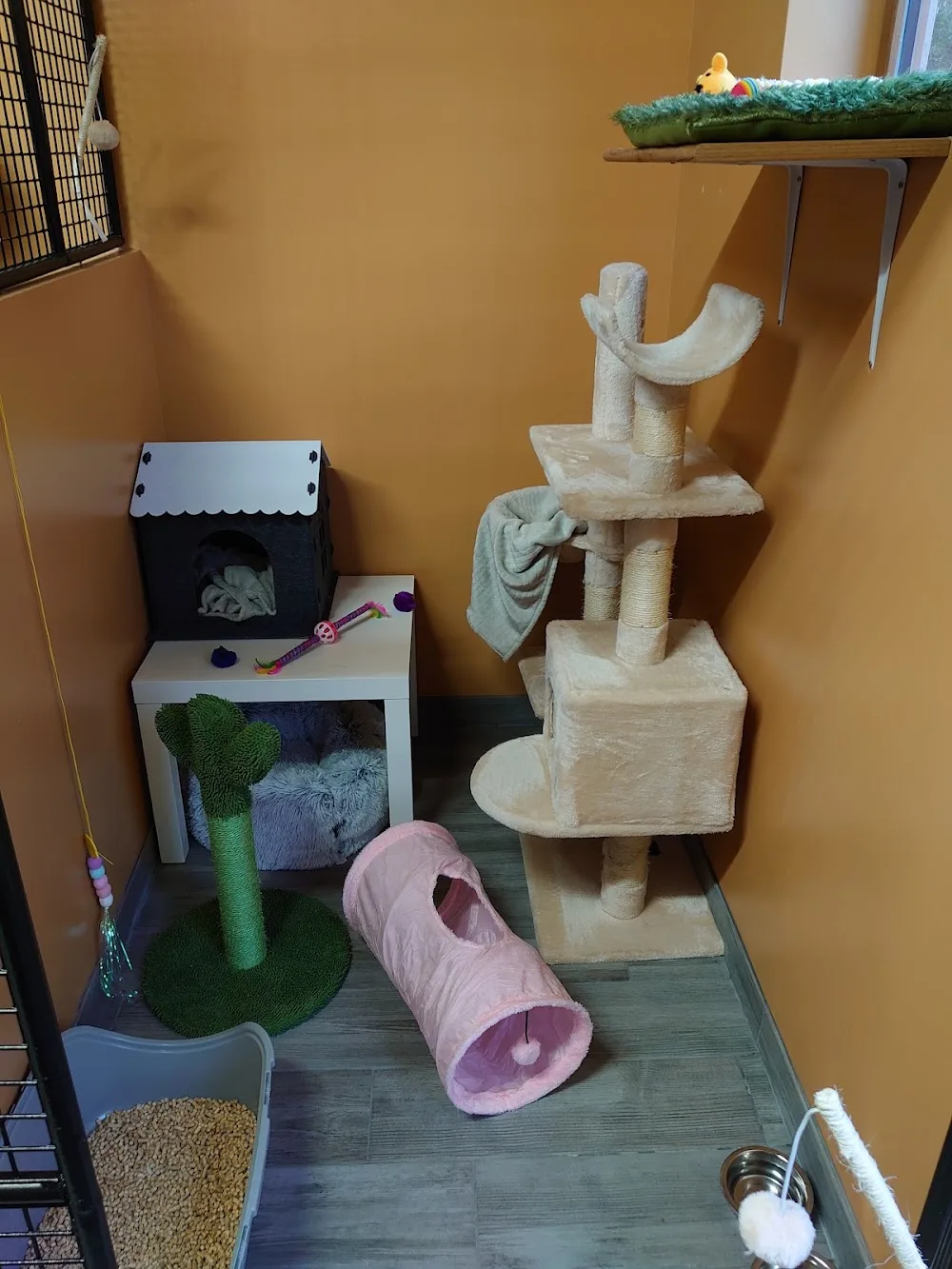 Chat'lu - Manche pet otel görseli 3
