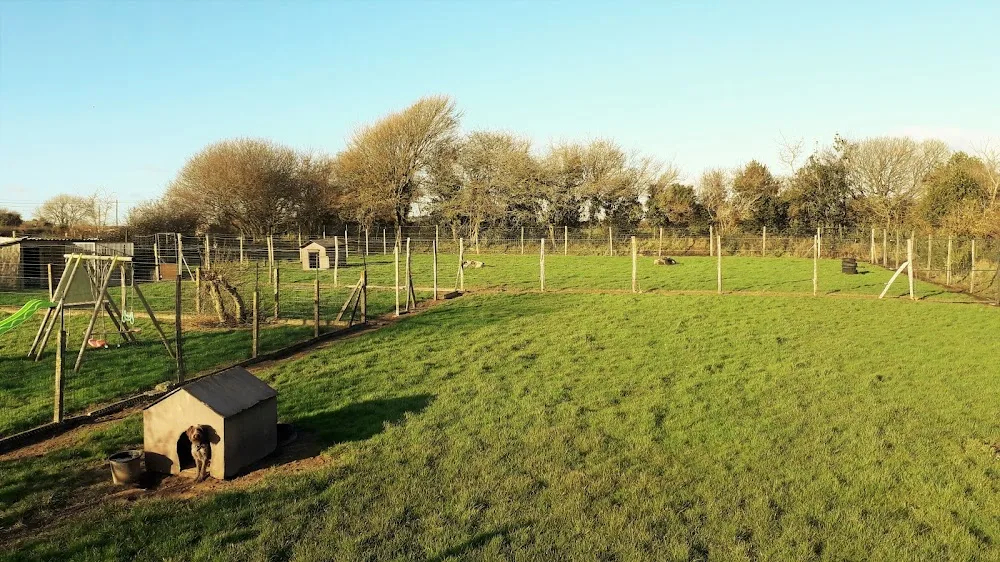 Chez Julie et Compagnie | Pension canine Manche | Julie Lemoussu - Manche pet otel