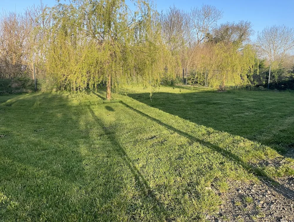 Pension Canine dans la Manche - Manche pet otel görseli 2