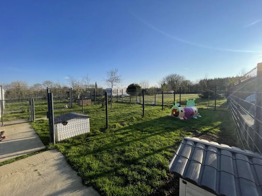 Pension Canine dans la Manche - Manche pet otel görseli 3