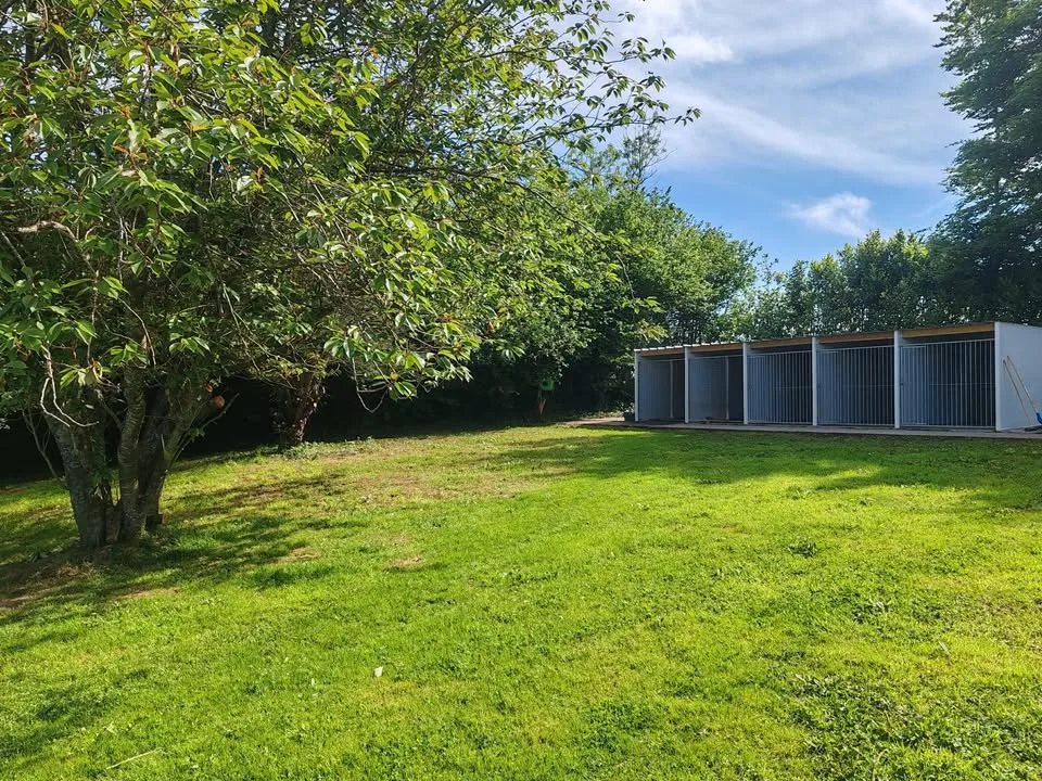 Pension canine - Elevage canin des plumes des marais du Cotentin - Manche pet otel görseli 2