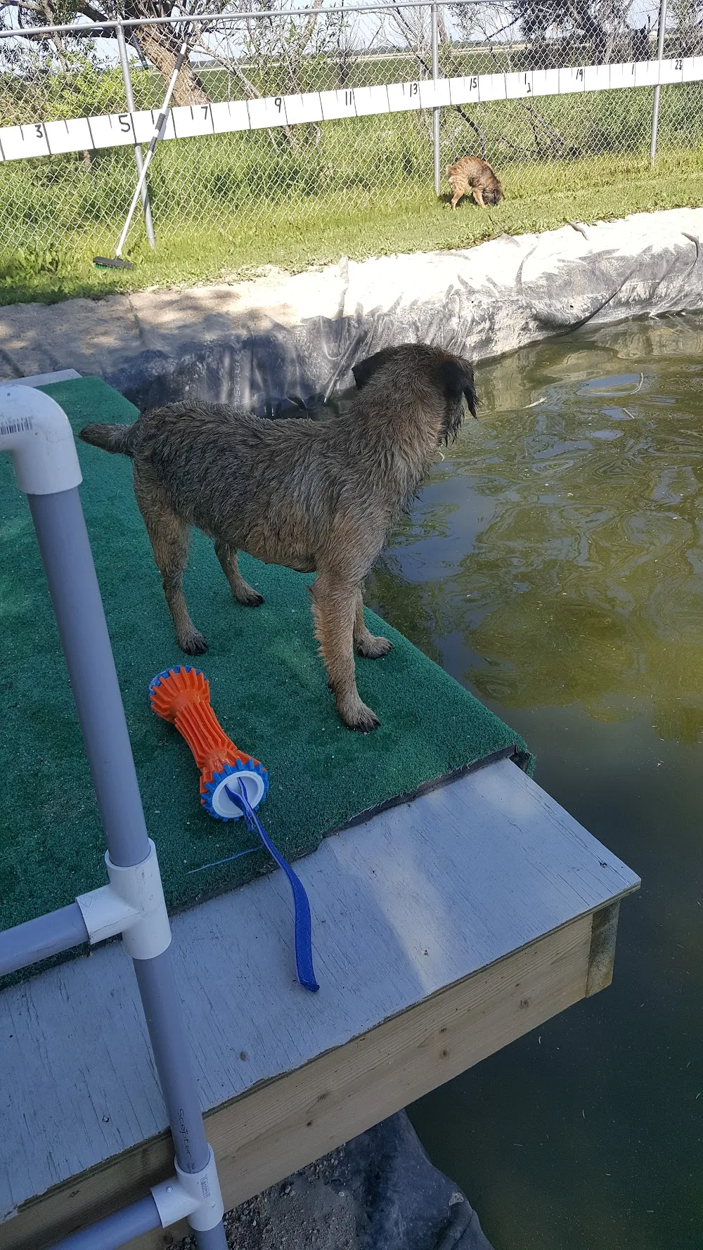 BarkX Motel Kennel And Dog Resort - Manitoba pet otel