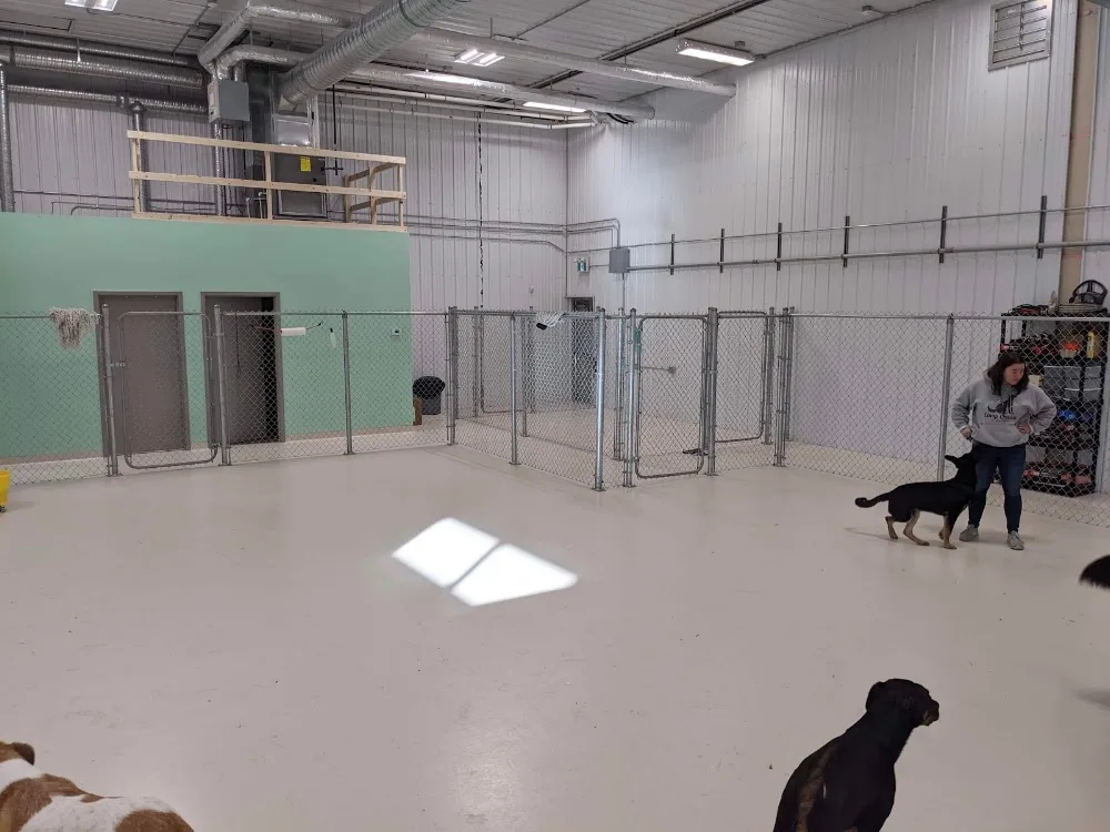 Camp Canine Dog Daycare Centre - Manitoba pet otel görseli 3