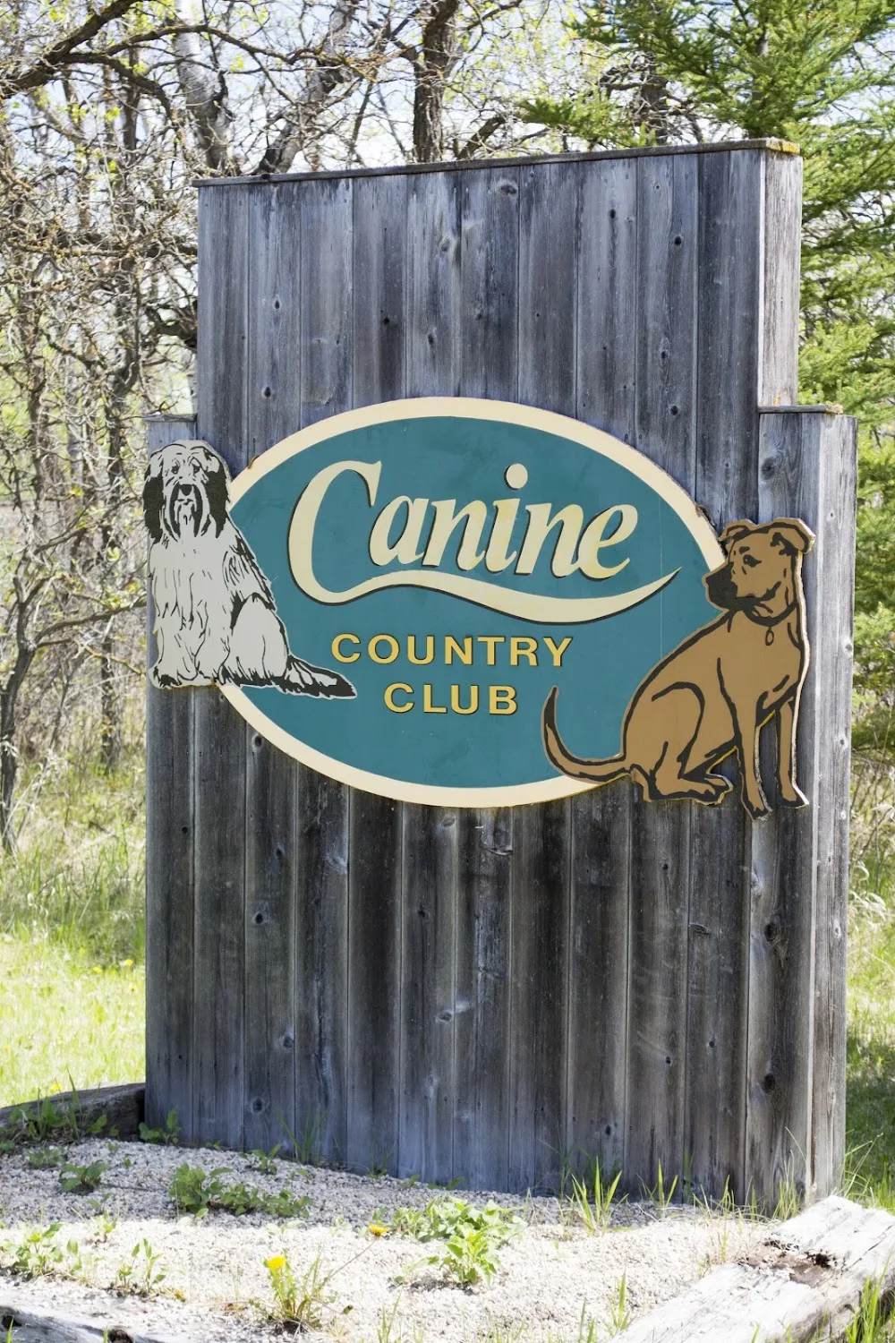 Canine Country Club - Manitoba pet otel görseli 3
