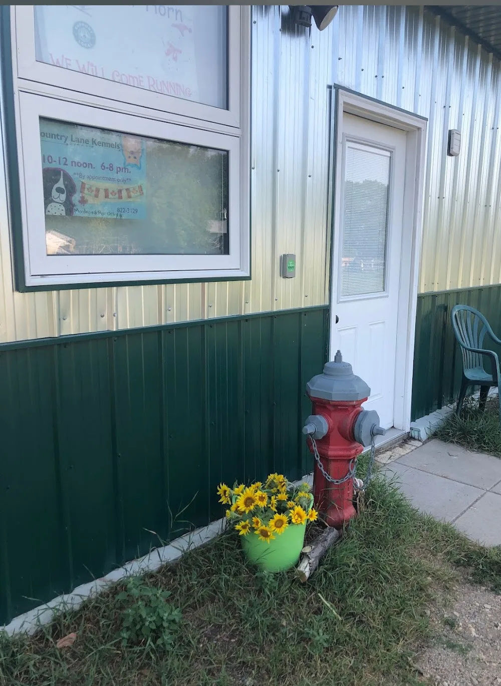Country lane kennels morden - Manitoba pet otel görseli 3