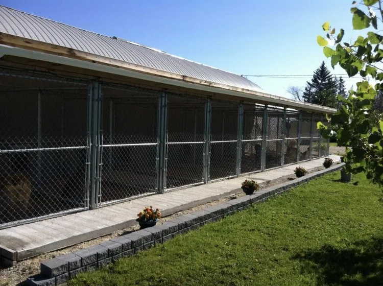 Diamond in the Ruff Kennels - Manitoba pet otel