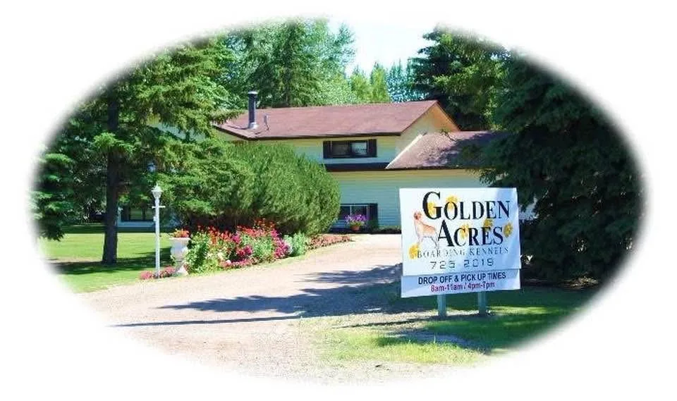 Golden Acres Boarding Kennel - Manitoba pet otel görseli 3
