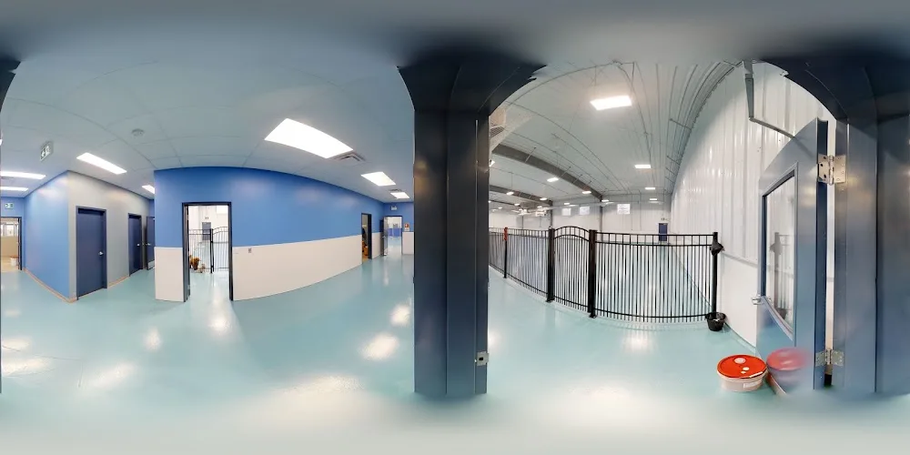 Happy Tails Pet Resort & Spa - Manitoba pet otel görseli 3