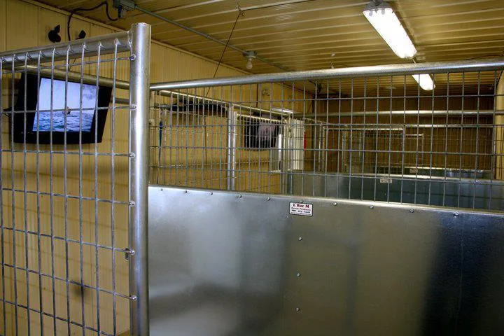 McBarn Kennels - Manitoba pet otel