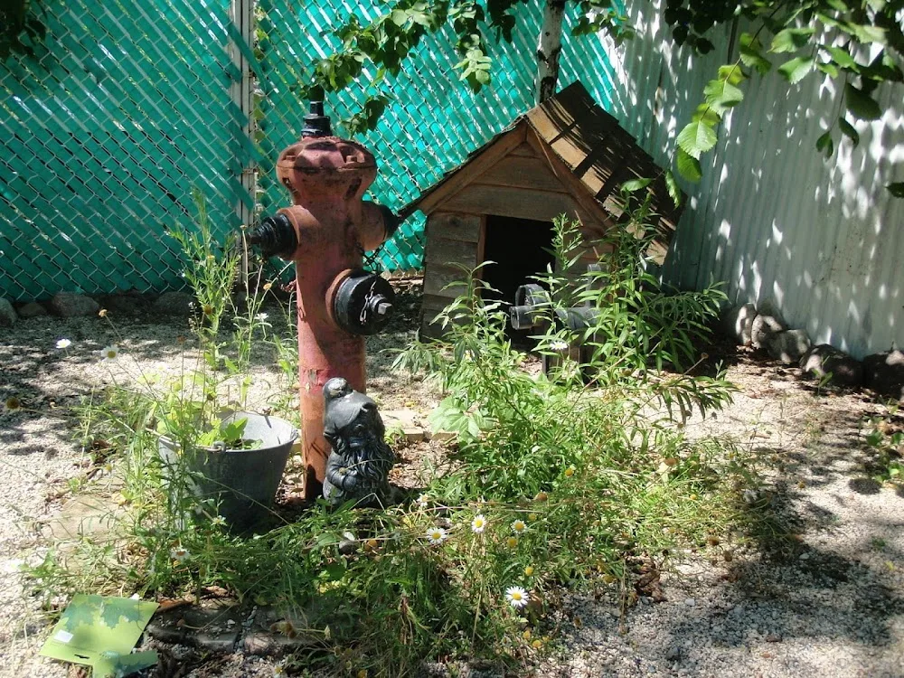 V I P Kennels - Manitoba pet otel görseli 2