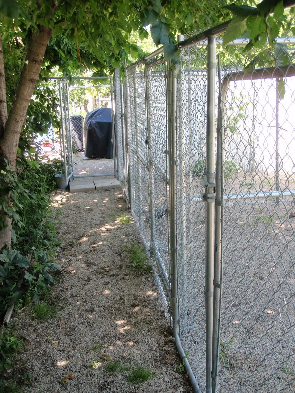 V I P Kennels - Manitoba pet otel görseli 3
