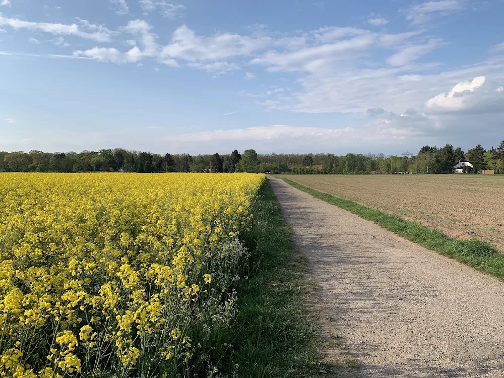 Hundepension Andrea Ehlert - Mannheim pet otel görseli 3