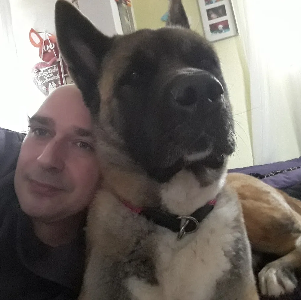 Hundepension Lolita - Mannheim pet otel görseli 3