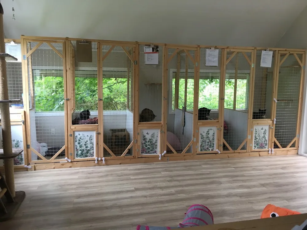 Cozy Maple cat boarding - Maple pet otel