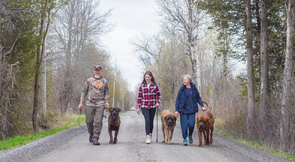 Maple Hill Canine Centre - Maple pet otel