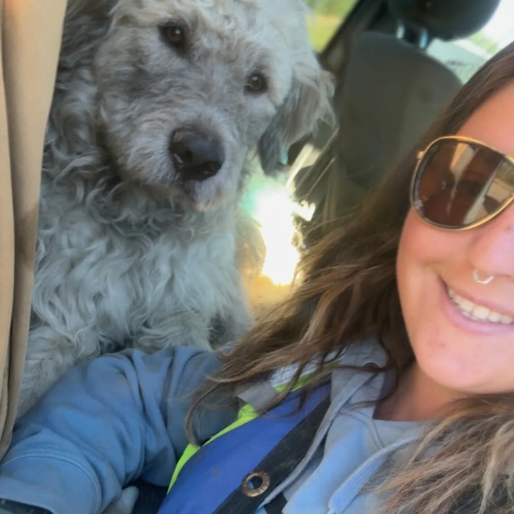 Paws Inn Westlock - Maple pet otel görseli 4