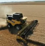 Paws Inn Westlock - Maple pet otel görseli 5