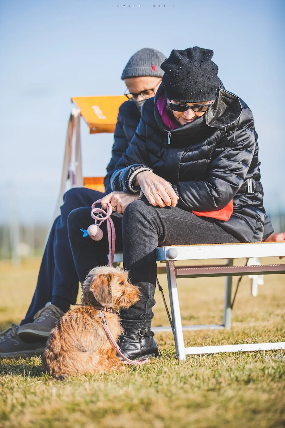 Dog Time - Centro Cinofilo & Dog Hotel - Marche pet otel